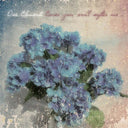 ORA CLEMENTI - Cover you will softer me |