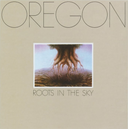 Roots In The Sky [Vinyl]