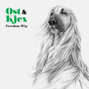 Freedom Wig [CD]