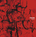P16.D4 - Distruct |