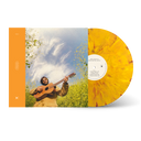 Songs For The Canyon - Sunshine & Pain Vinyl