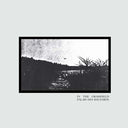 PALAIS DES BAUZARDS - In the Grassfield [Vinyl]