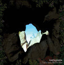 PANTALEIMON - The Butterfly Ate the Pearl |