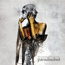 The Anatomy Of Melancholy |