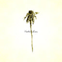 Wooden Arms [Vinyl]