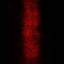 PAUL JEBANASAM - Rites |