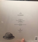 Peter Broderick - Blackberry | Mint (M) Mint (M)
