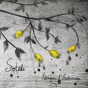 Pettersson & Fredriksson - Sotali (CD) | Mint (M) Mint (M)