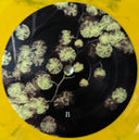 Phantogram - Eyelid Movies (VINYL) | Mint (M) Mint (M)