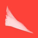 PHILL NIBLOCK - G2,44+/X2 |