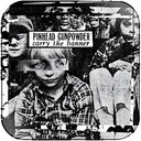 Pinhead Gunpowder - Carry the Banner (Indie Exclusive, Colored Vinyl) | Mint (M) Mint (M)