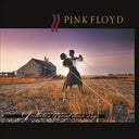 Pink Floyd - A Collection Of Great Dance Songs (180g Vinyl) | Mint (M) Mint (M)