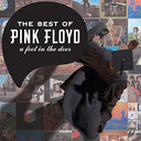 Pink Floyd - The Best of Pink Floyd: A Foot in the Door | Mint (M) Mint (M)