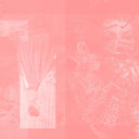 PINKCOURTESYPHONE - Arise In Sinking Feelings |