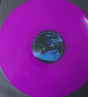 Shape/Shifting | Mint (M) Mint (M)