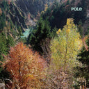 POLE - Wald |