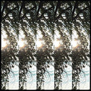 Dialectic Of Ignorance | Mint (M) Mint (M)