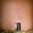Foster The People - Paradise State Of Mind (TRANSLUCENT PINK VINYL) | Mint (M) Mint (M)