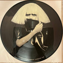 Lady Gaga - The Fame Monster (Picture Disc Vinyl) | Mint (M) Mint (M)