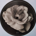 Kate Bush - The Sensual World: 2018 Remaster (IEX: ASH GREY VINYL) | Mint (M) Mint (M)