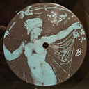 TV Girl - Grapes Upon The Vine (VINYL) | Mint (M) Mint (M)