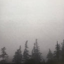 Godspeed You Black Emperor! - G_d's Pee At State's End! (180G VINYL LP + 10" EP) | Mint (M) Mint (M)