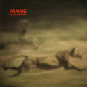 Prairie - Like a Pack of Hounds |
