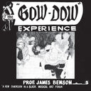 PROF. JAMES BENSON - The Gow Dow Experience |