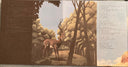 Sunny Day Real Estate - How It Feels To Be Something On | Mint (M) Mint (M)