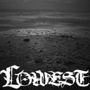 Lowest (7"VINYL) | Mint (M) Mint (M)