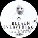 Bleach Everything - Free Inside (VINYL 7") | Mint (M) Mint (M)