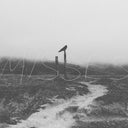 My America Is Watching Tigers Die - Misses (PURPLE/WHITE MARBLE VINYL) | Near Mint (NM or M-)