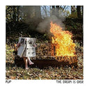 PUP - Dream Is Over (VINYL) | Mint (M) Mint (M)
