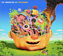 PUP - The Unraveling of Puptheband [Explicit Content] (CD) | Mint (M) Mint (M)