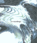 PURE - Noonbugs |