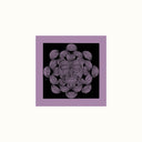 PYGMY UNIT - Signals From Earth [Vinyl]