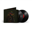 In Times New Roman... [Vinyl]