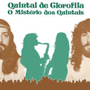 QUINTAL DE CLOROFILA - O Mistério dos Quintais |