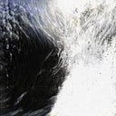 RACHEL PALMER - Antecedent (Clear Vinyl) [Import] | Mint (M) Mint (M)