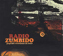 RADIO ZUMBIDO - Pequeño Transistor de Feria |
