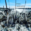 Parallel Systems [CD]