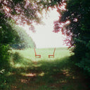 Singin' To An Empty Chair (Indie Exclusive) [Vinyl]