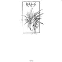 RATS - C'est Disco |