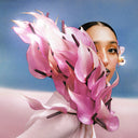 Where the Butterflies Go in the Rain (Deluxe Edition Clear 2xVINYL) | Mint (M) Mint (M)