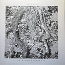 Acid Dub Studies III (VINYL) | Mint (M) Mint (M)