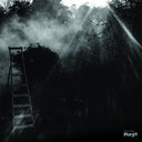REINHOLD FRIEDL & ERYCK ABECASSIS - Animal Electrique [Vinyl]