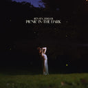 Picnic in the Dark [CD]