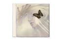 Speak Like The Dead [Ep] |
