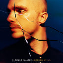 Richard Walters - Golden Veins (CD) | Mint (M) Mint (M)