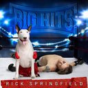 Rick Springfield - Big Hits: Rick Springfield's Greatest Hits, Vol. 2 [Explicit Content] (Clear Vinyl, Gatefold LP Jacket) (2 Lp's) |